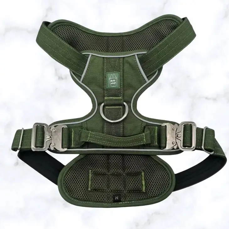 Heavy-Duty Everyday Harness
