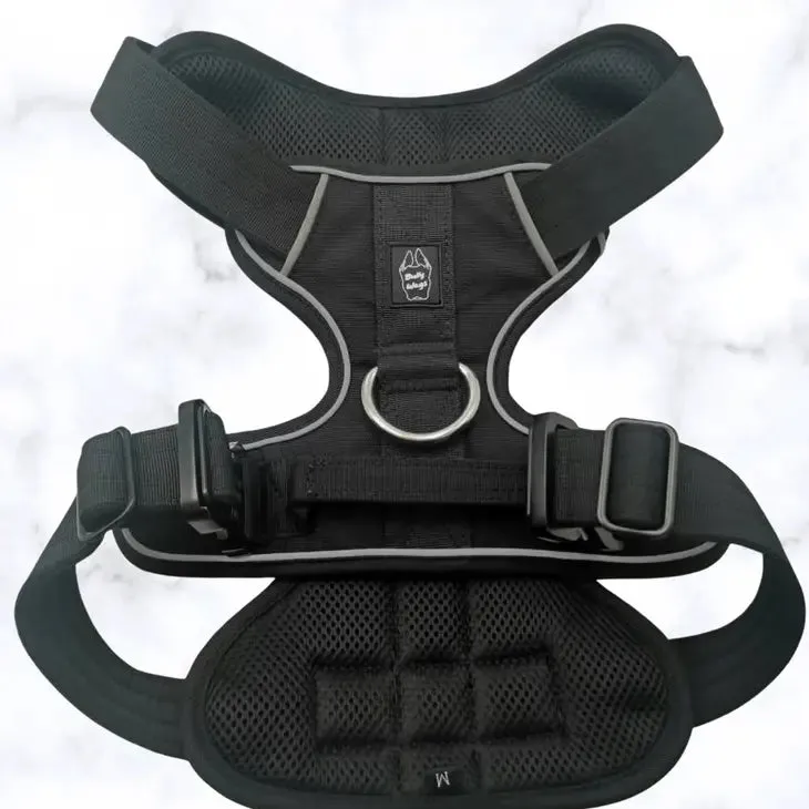 Heavy-Duty Everyday Harness