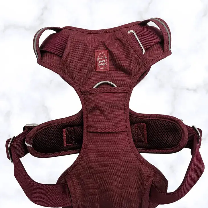 Heavy-Duty Everyday Harness