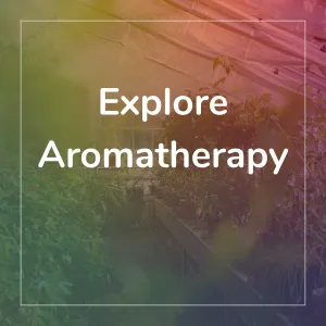 Holistic Aromatherapy for Integrative Health™ Practical Lab Kit
