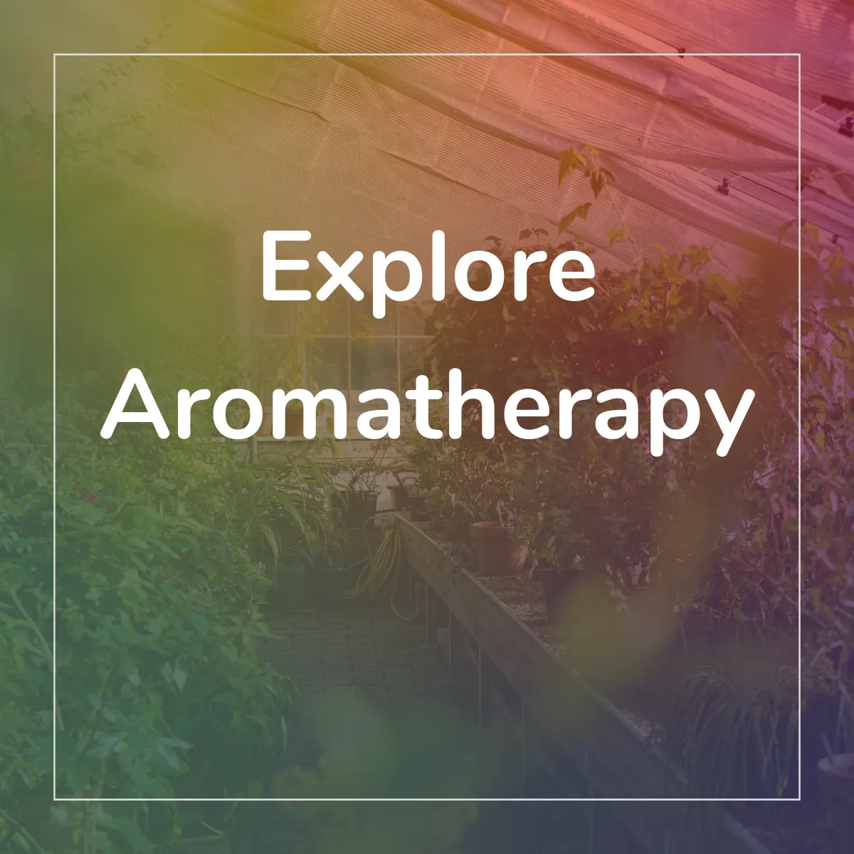 Holistic Aromatherapy for Integrative Health™ Practical Lab Kit