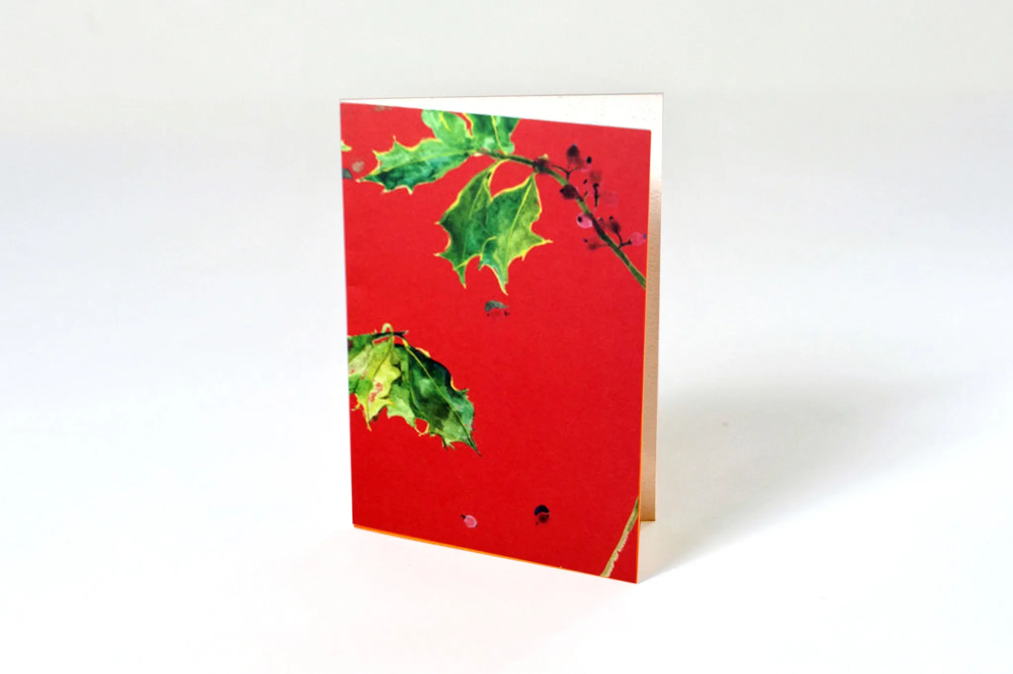Holly J3-102