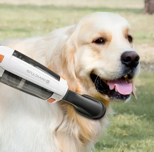 Invictus M5 Handheld Vac Accessory