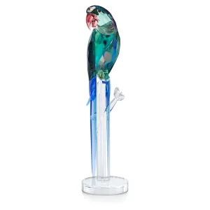 Jungle Beats Green Macaw Banjo 5557849