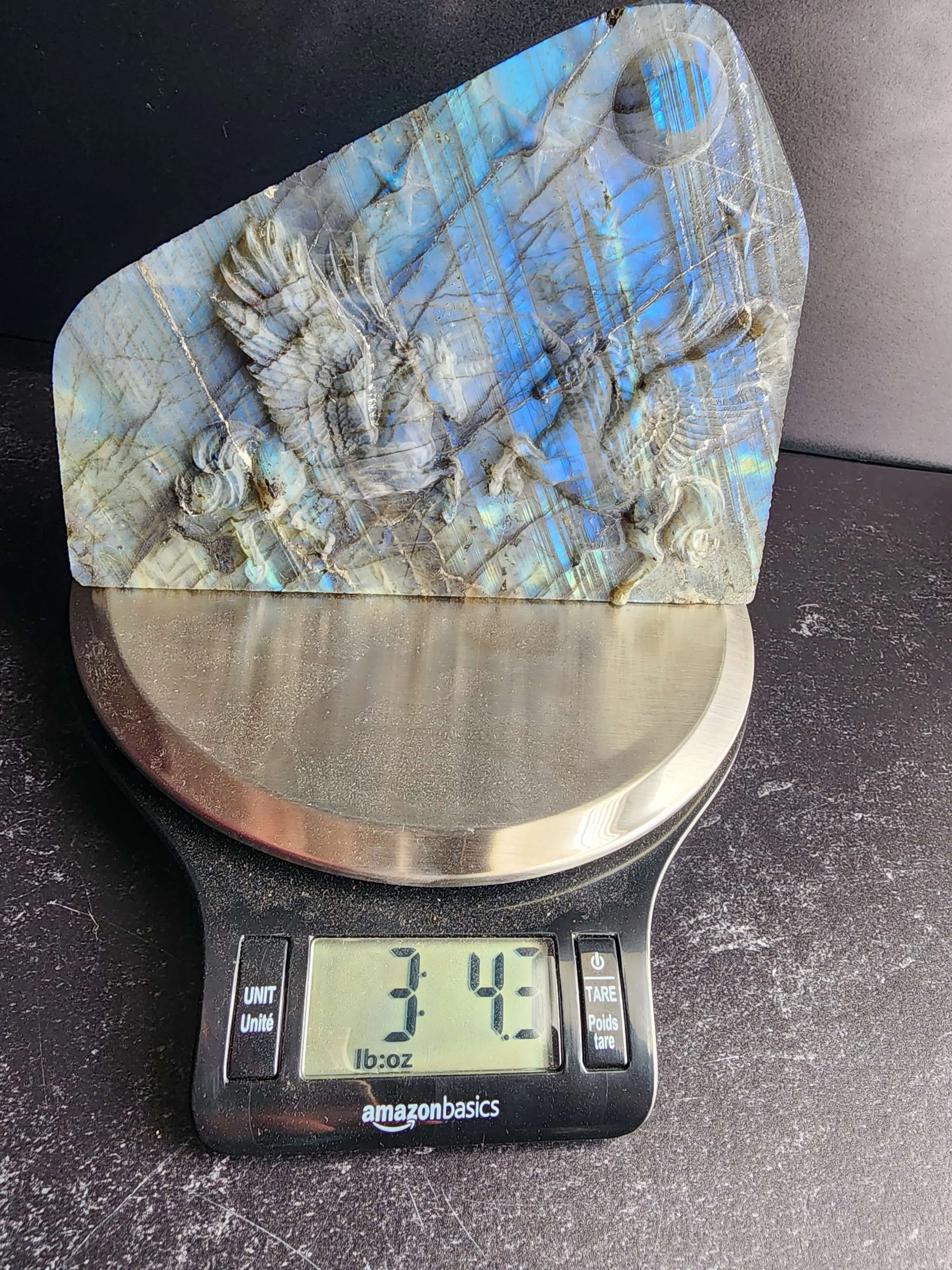 Labradorite Freeform Pegasus Carving