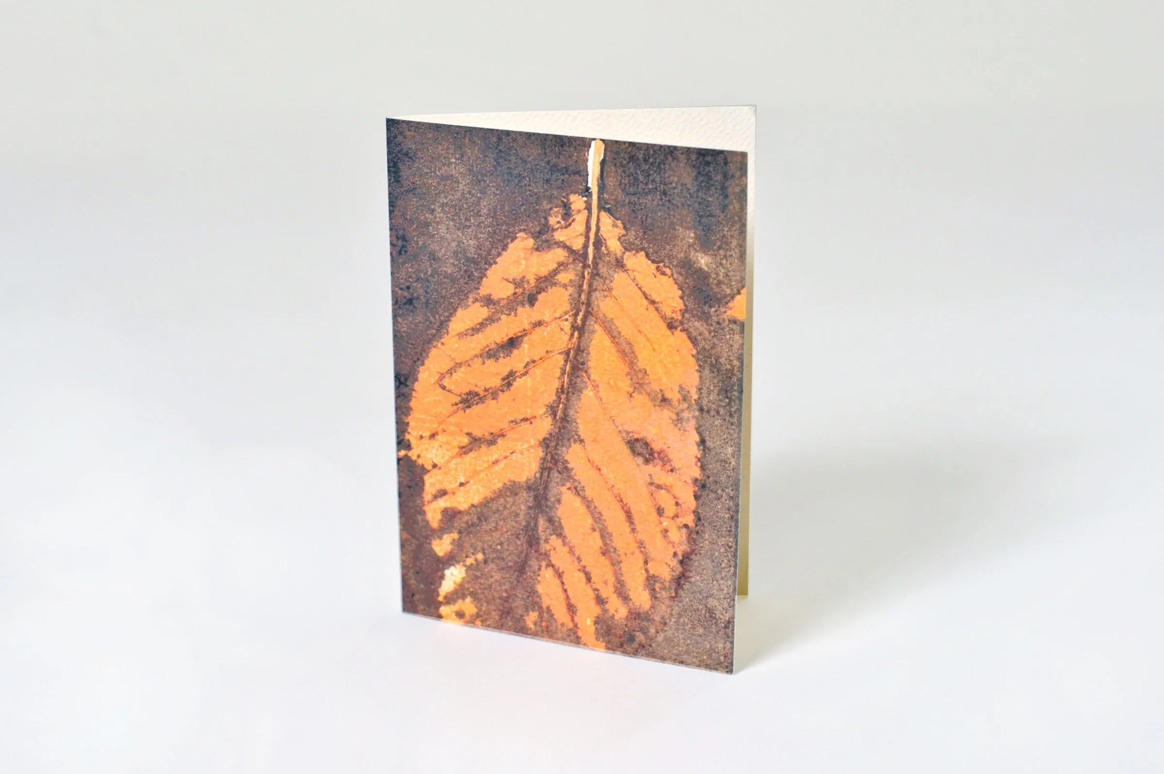 Leaves L1-106