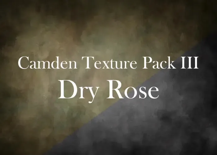 LSP Dry Rose single Texture from the Camden Collection
