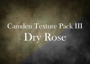 LSP Dry Rose single Texture from the Camden Collection