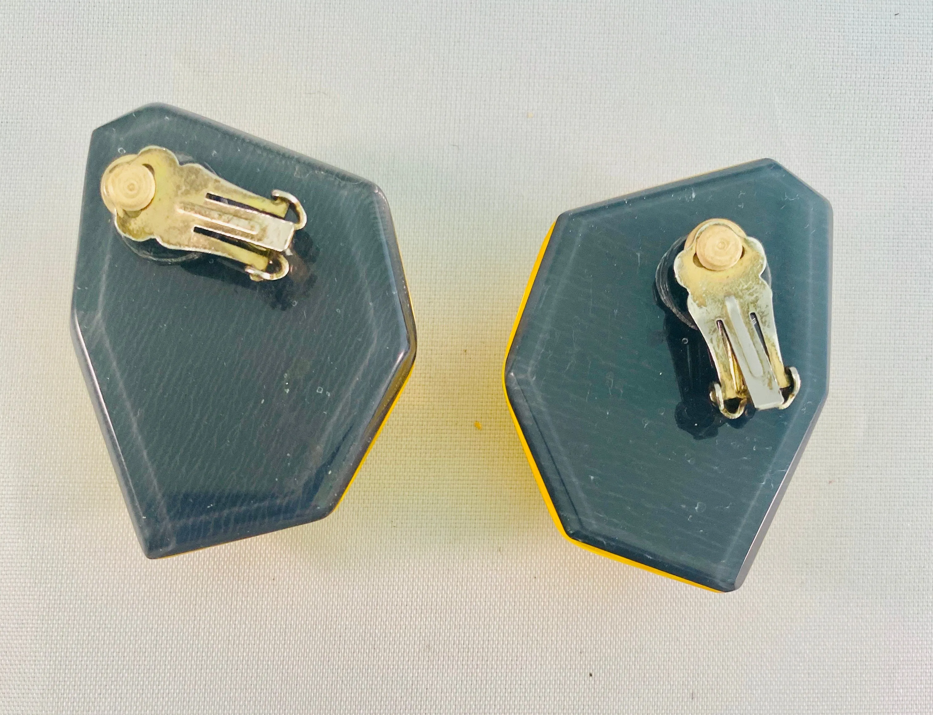 Lucite Vintage Earrings