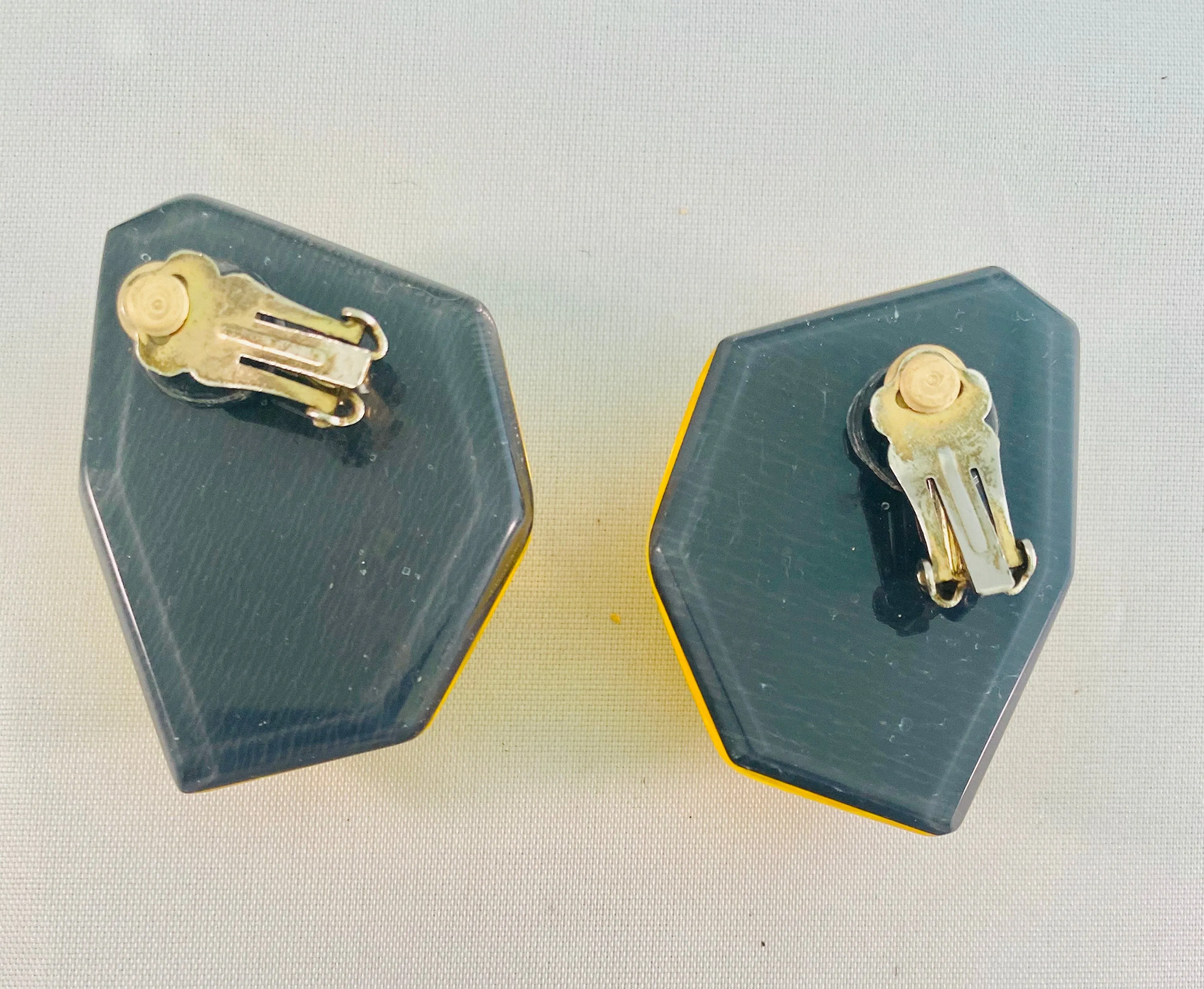 Lucite Vintage Earrings