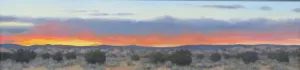Luminous Horizon