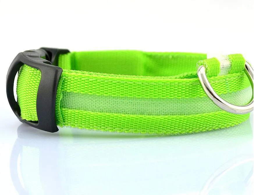 Luminous Safety Pet LED Collar