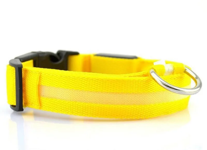 Luminous Safety Pet LED Collar