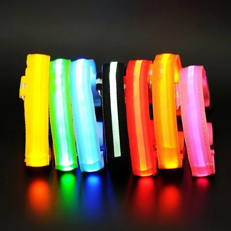 Luminous Safety Pet LED Collar