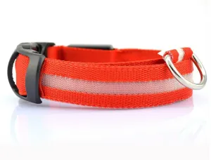 Luminous Safety Pet LED Collar
