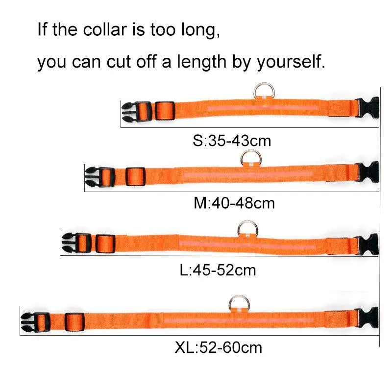 Luminous Safety Pet LED Collar