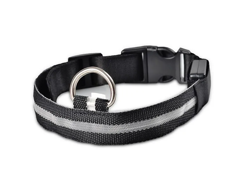 Luminous Safety Pet LED Collar