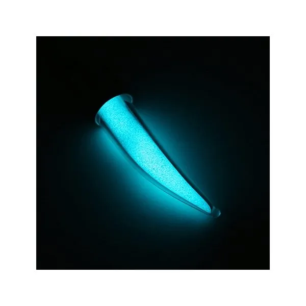 Luminous Shark Tooth Necklace