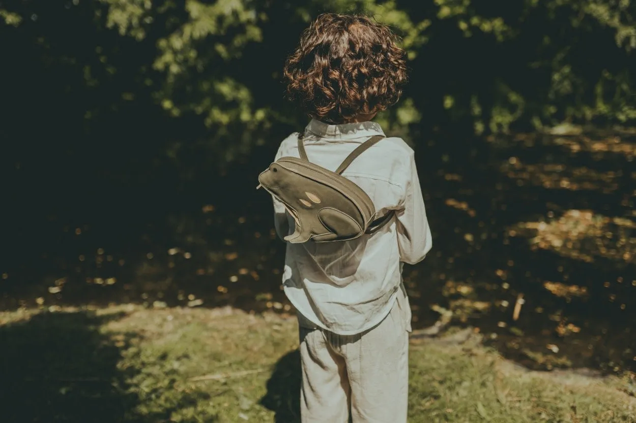 Pierre Backpack - Frog