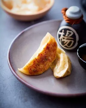 Raviolis de Frango e Vegetais - Gyoza Yasai Tori (50X20G) -1KG