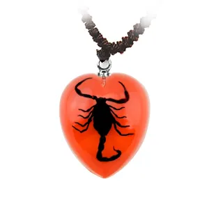 Real Black Scorpion Necklace with Red  Real Nature Gift Jewelry With Box