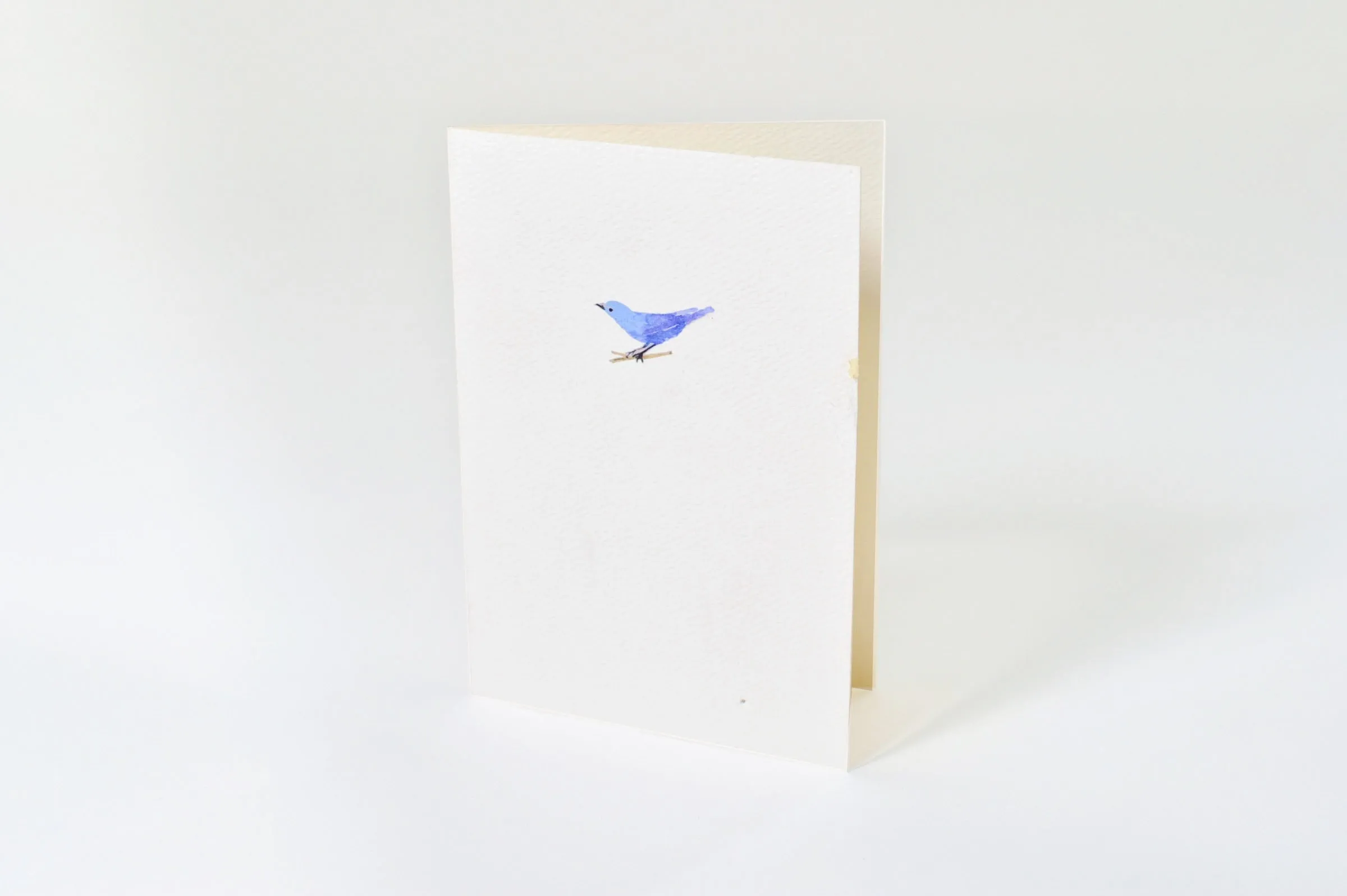 Sae (Birds) SAE - 101