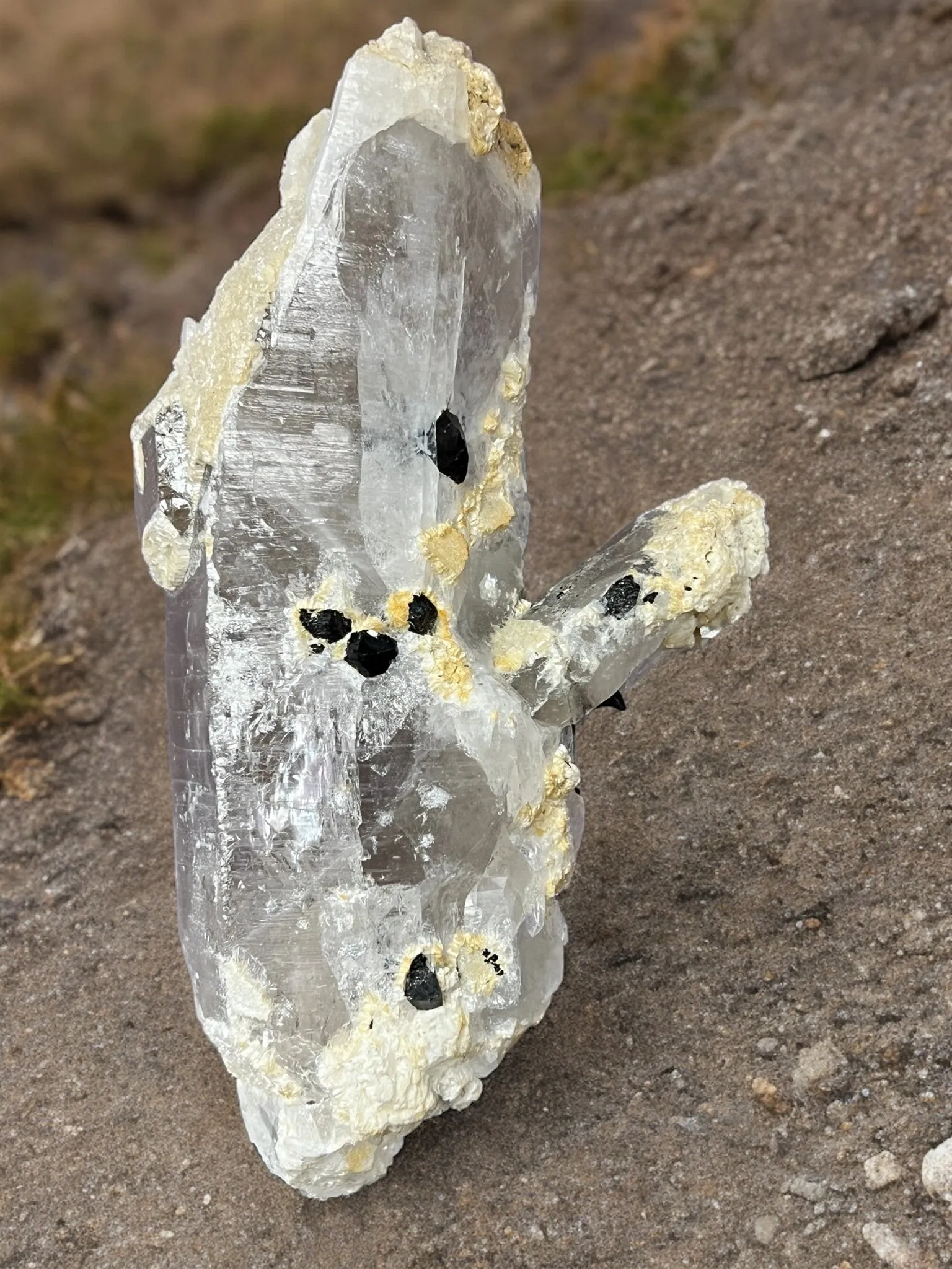 Smoky Quartz Lemurian Point with Schorl (Black Tourmaline) Crystals - 691 grams