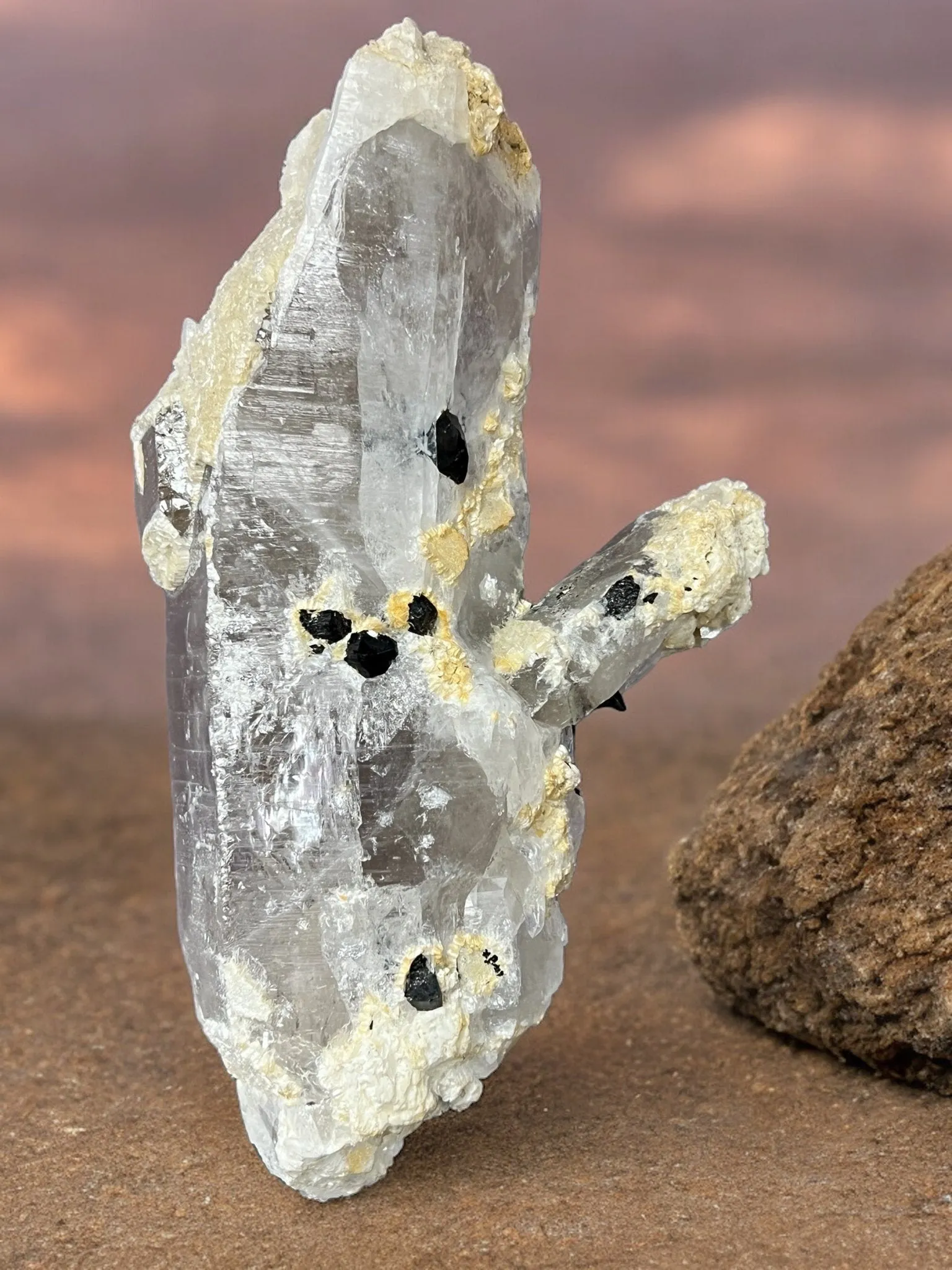 Smoky Quartz Lemurian Point with Schorl (Black Tourmaline) Crystals - 691 grams