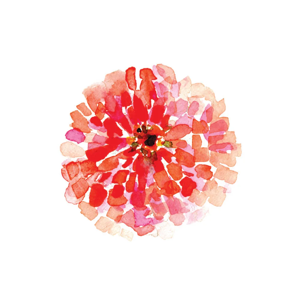 Spring - 101