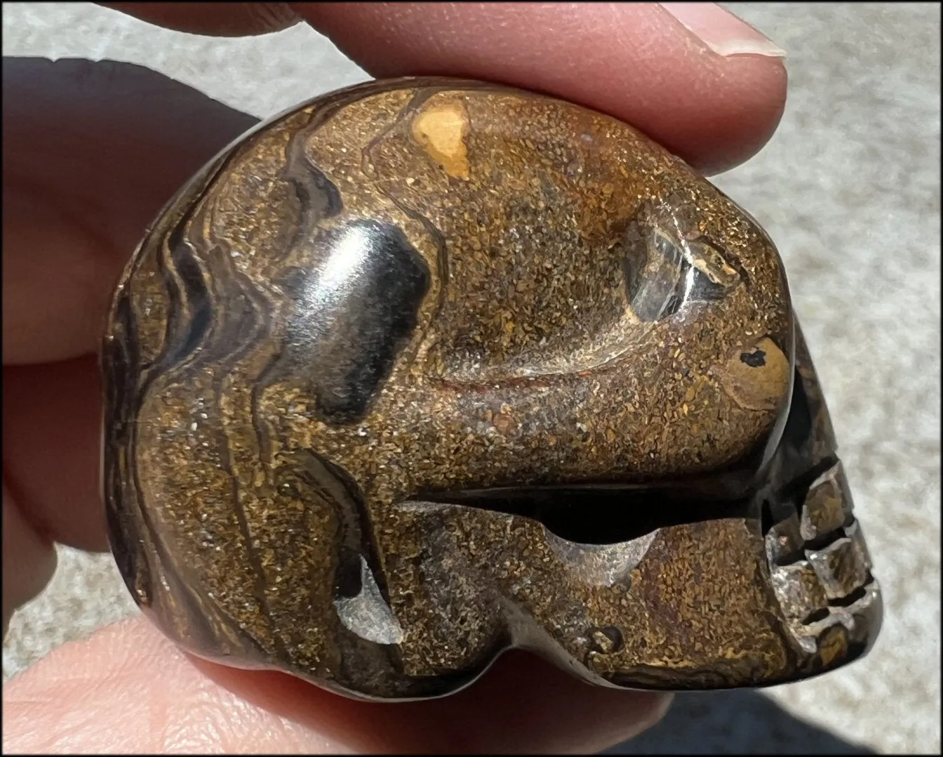 Stromatolite Fossil Stone CRYSTAL SKULL - Open to change, Root Chakra