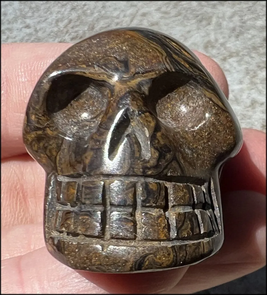 Stromatolite Fossil Stone CRYSTAL SKULL - Open to change, Root Chakra