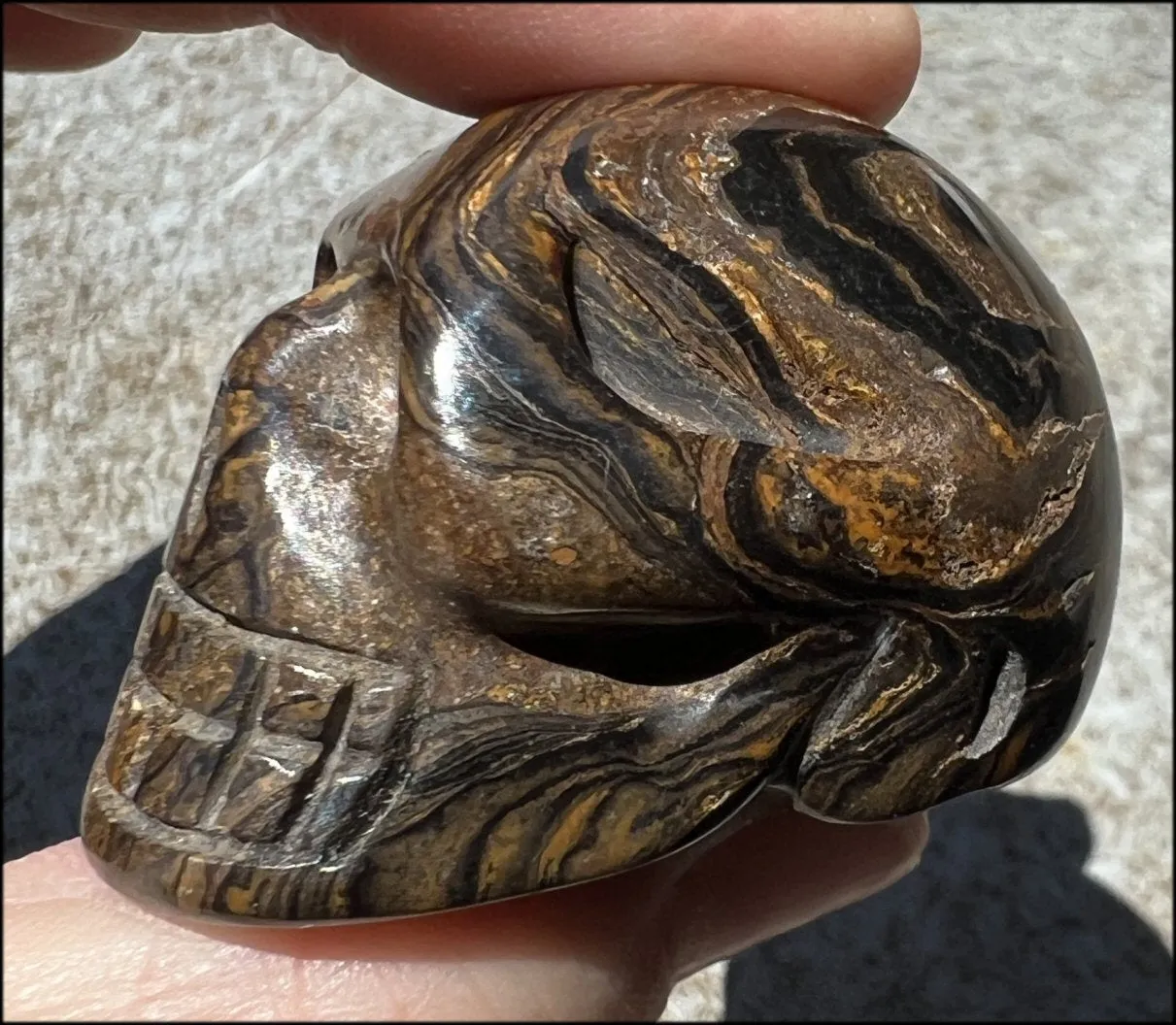 Stromatolite Fossil Stone CRYSTAL SKULL - Open to change, Root Chakra