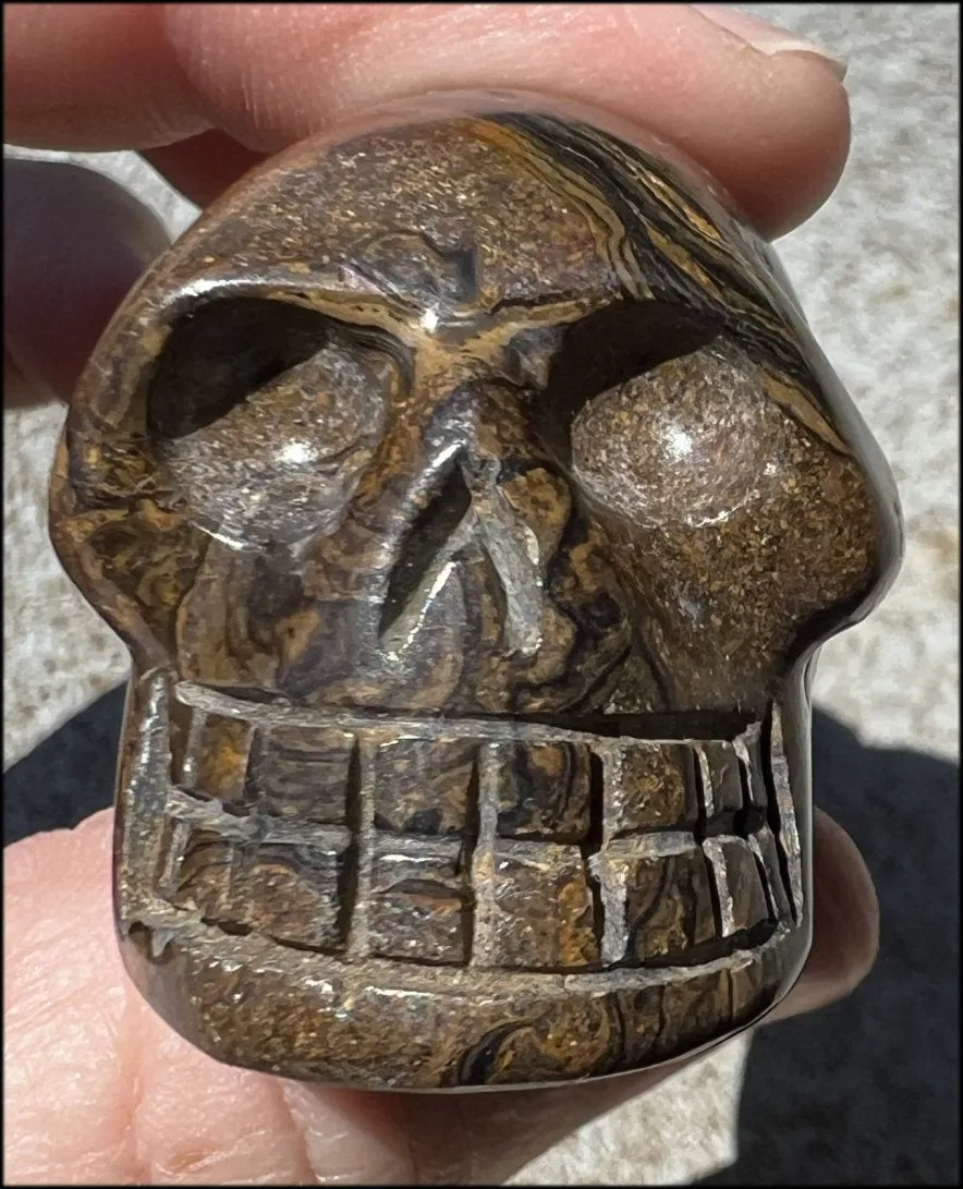 Stromatolite Fossil Stone CRYSTAL SKULL - Open to change, Root Chakra