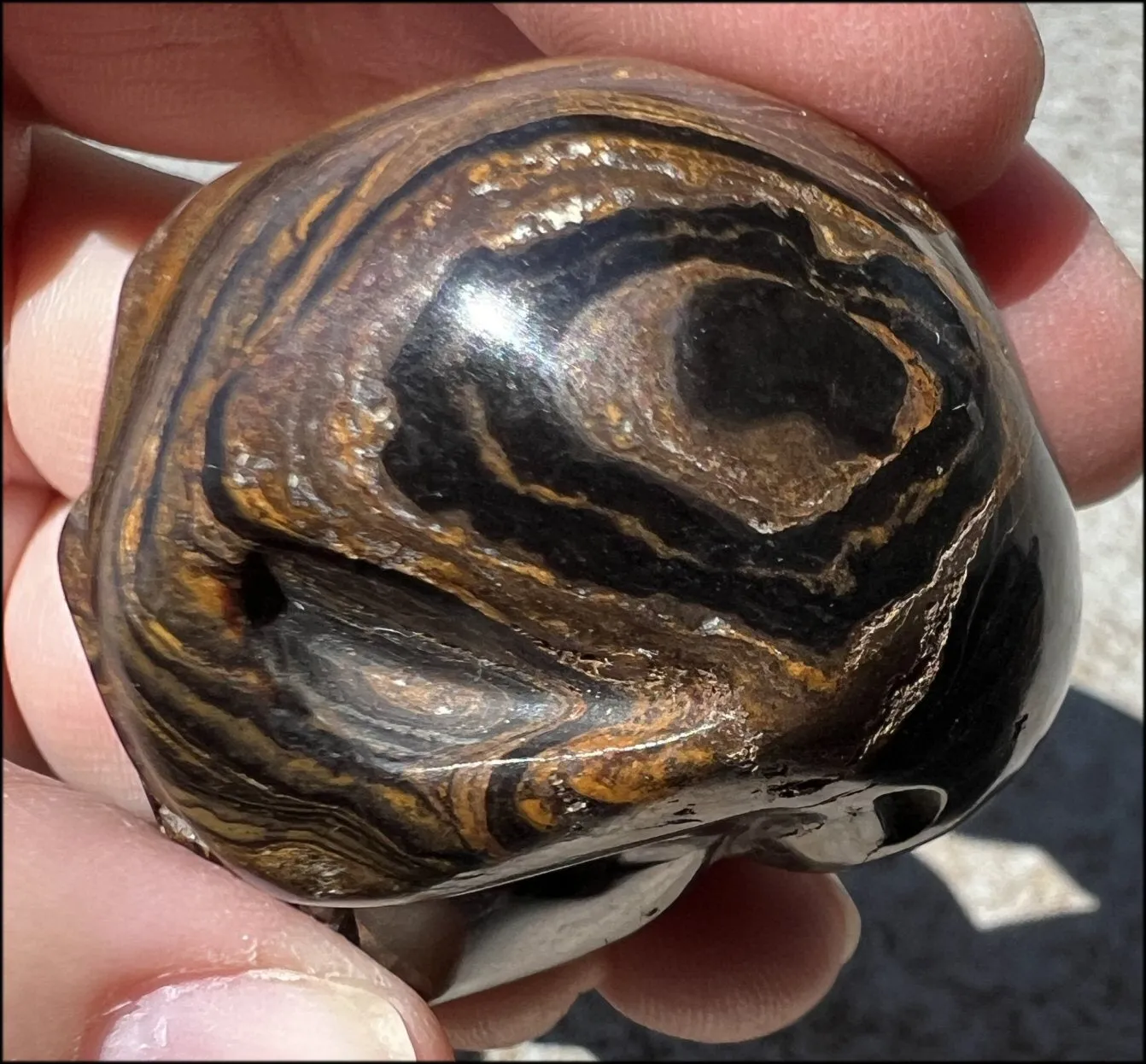 Stromatolite Fossil Stone CRYSTAL SKULL - Open to change, Root Chakra