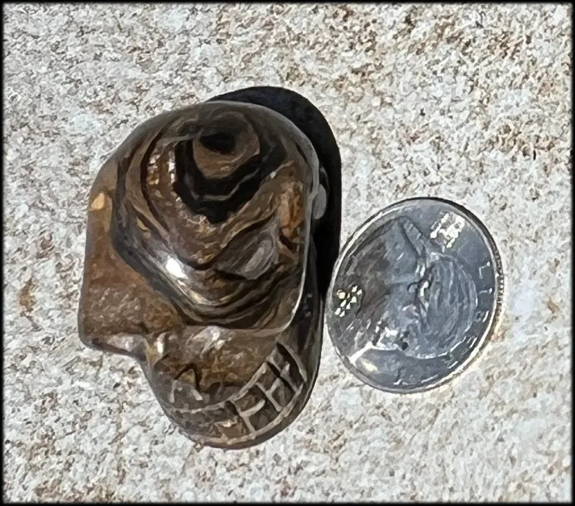 Stromatolite Fossil Stone CRYSTAL SKULL - Open to change, Root Chakra