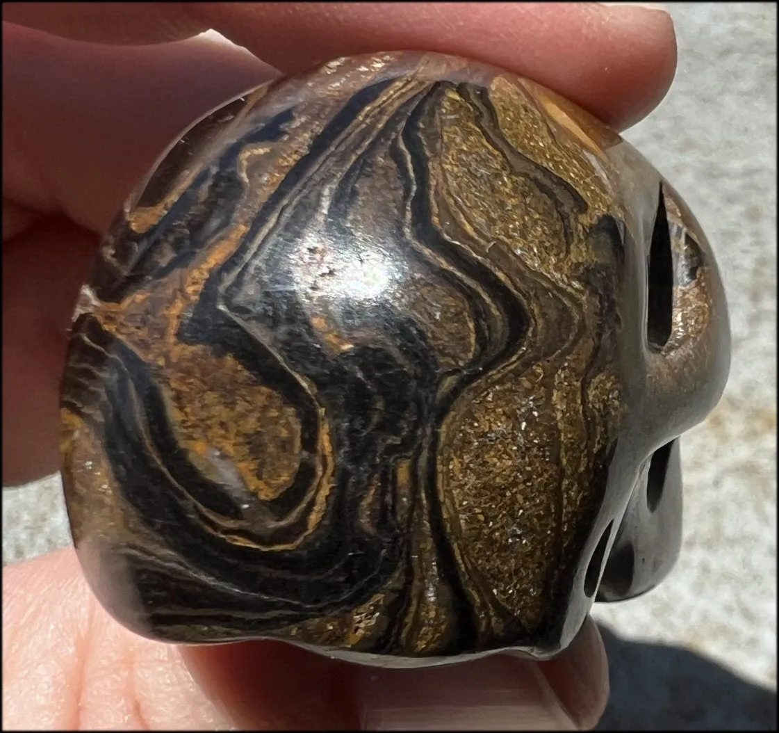 Stromatolite Fossil Stone CRYSTAL SKULL - Open to change, Root Chakra