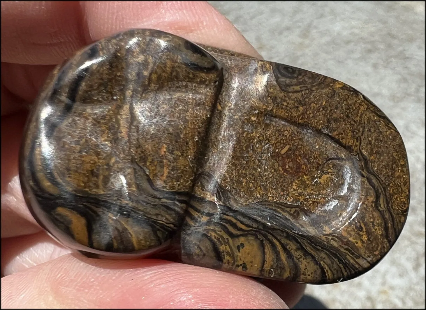 Stromatolite Fossil Stone CRYSTAL SKULL - Open to change, Root Chakra