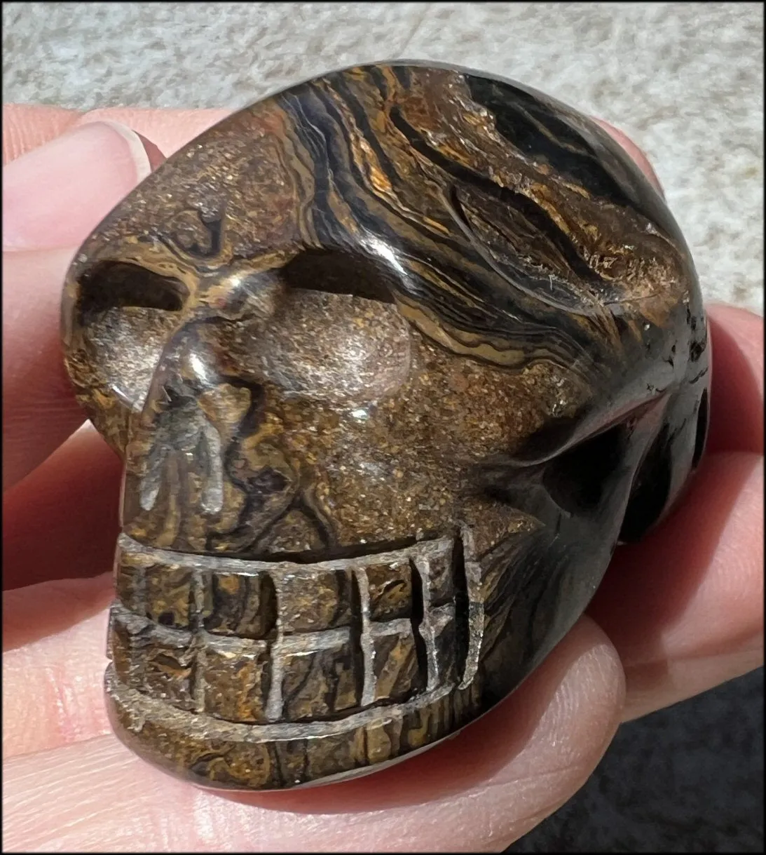 Stromatolite Fossil Stone CRYSTAL SKULL - Open to change, Root Chakra