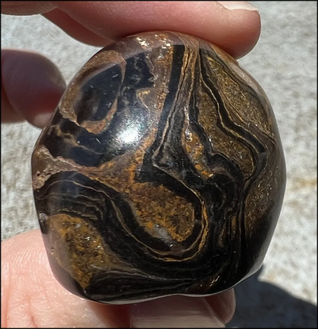 Stromatolite Fossil Stone CRYSTAL SKULL - Open to change, Root Chakra