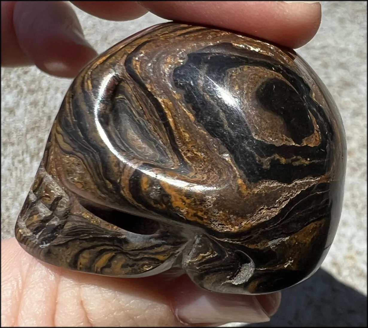 Stromatolite Fossil Stone CRYSTAL SKULL - Open to change, Root Chakra