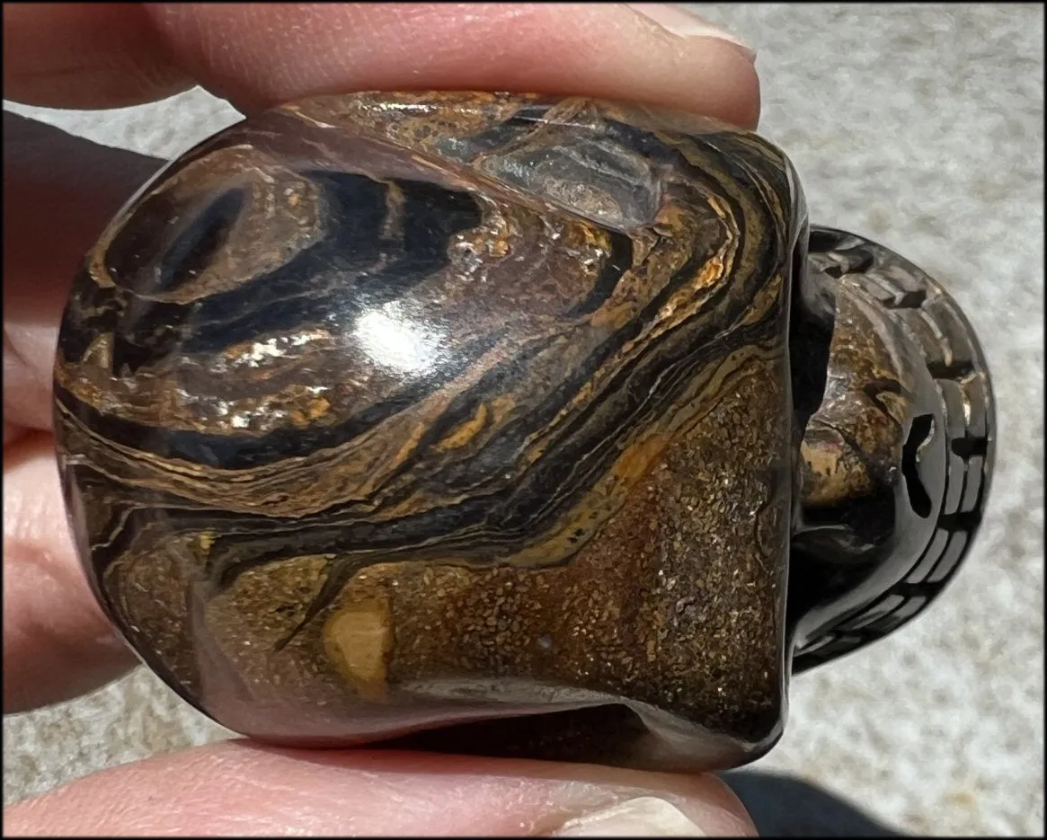 Stromatolite Fossil Stone CRYSTAL SKULL - Open to change, Root Chakra