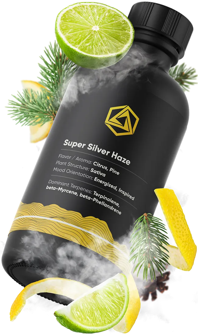 Super Silver Haze