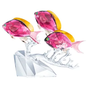 Swarovski Crystal Figurine Anthias Fish Trio - 5428652