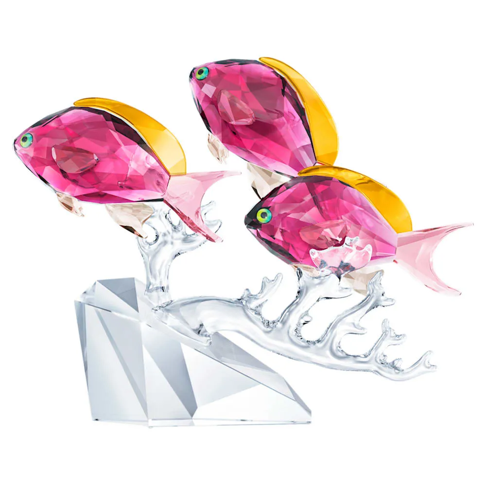 Swarovski Crystal Figurine Anthias Fish Trio - 5428652