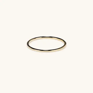 The Everyday Band