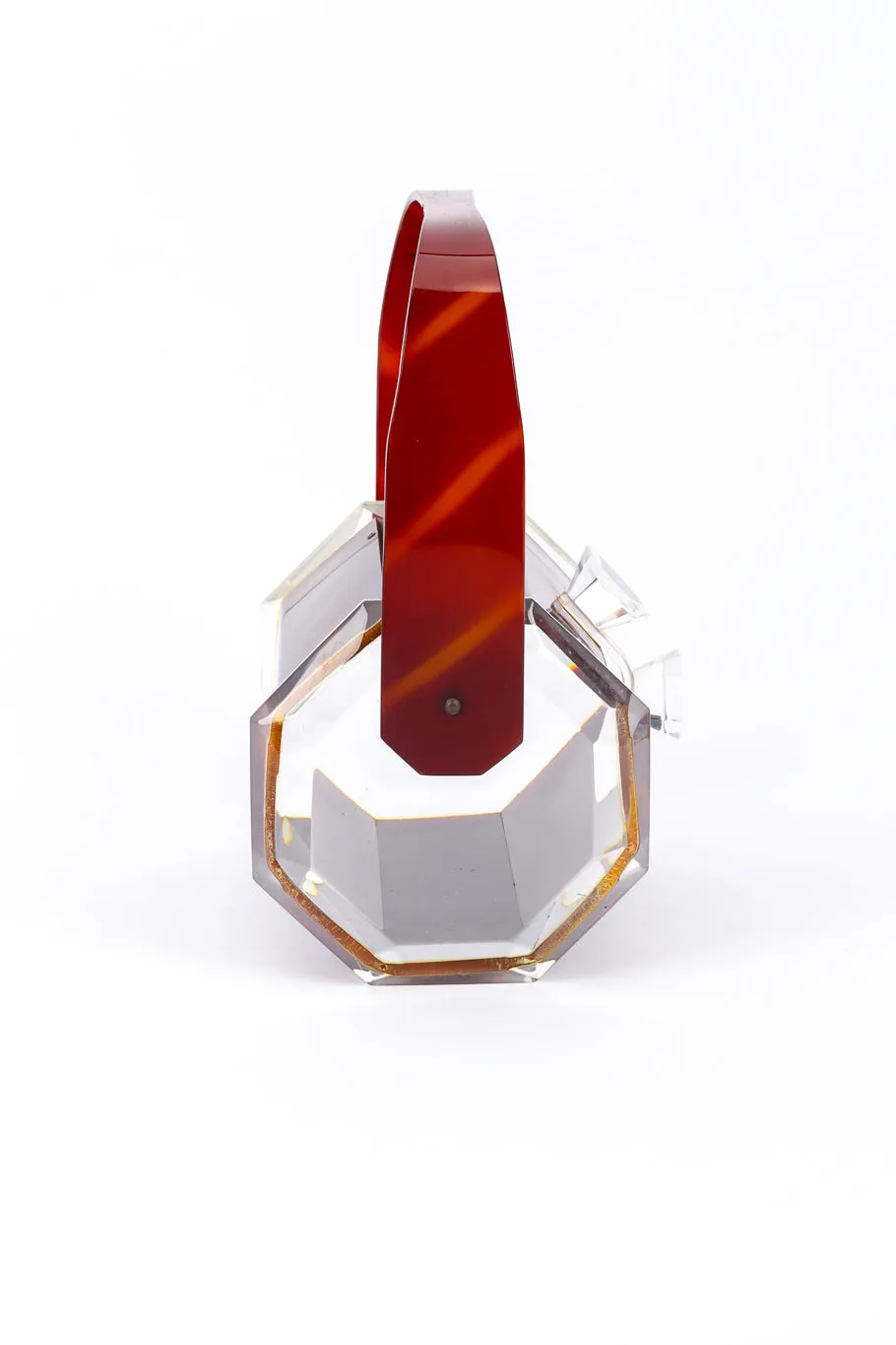 Tortoiseshell Lucite Box Bag