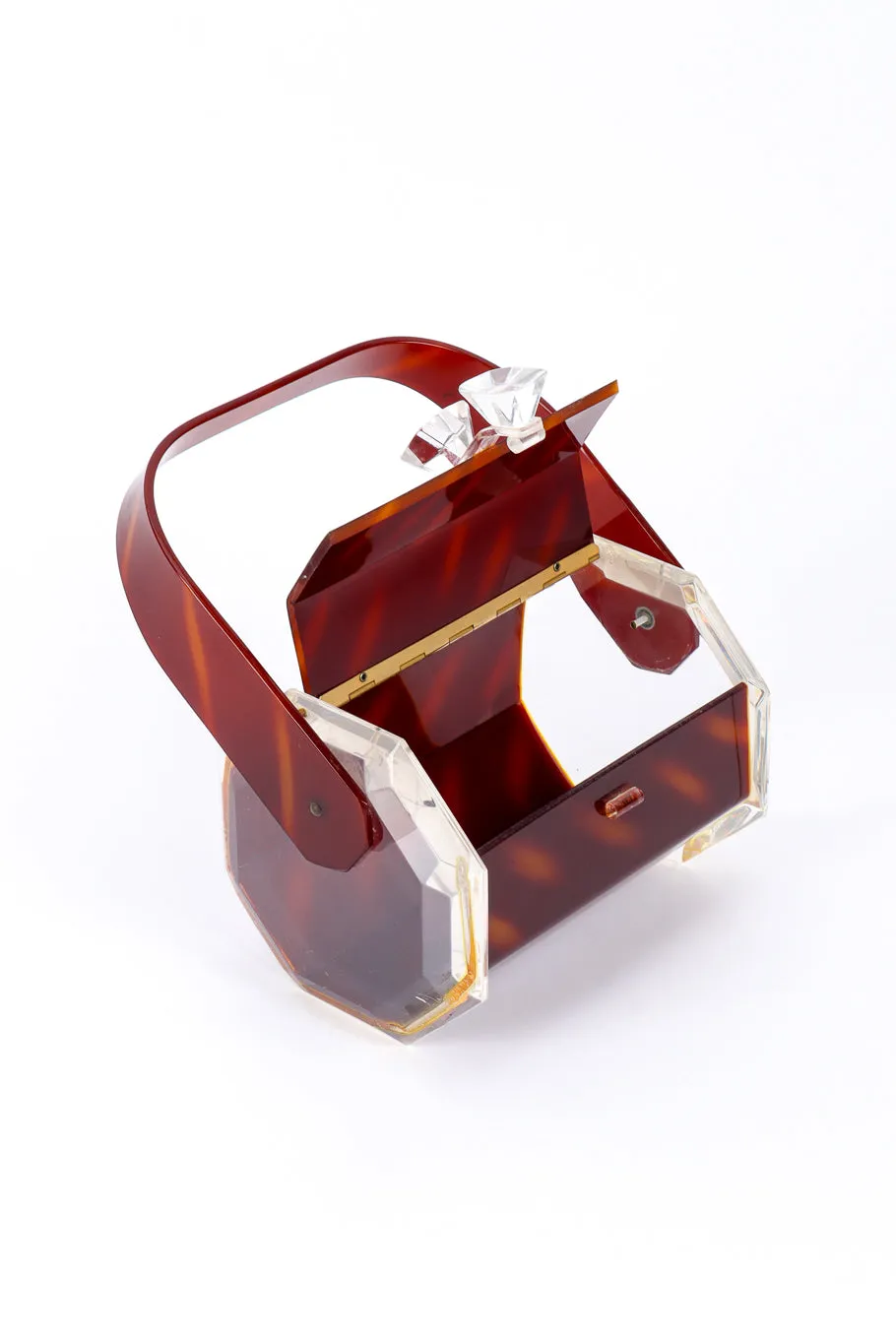 Tortoiseshell Lucite Box Bag
