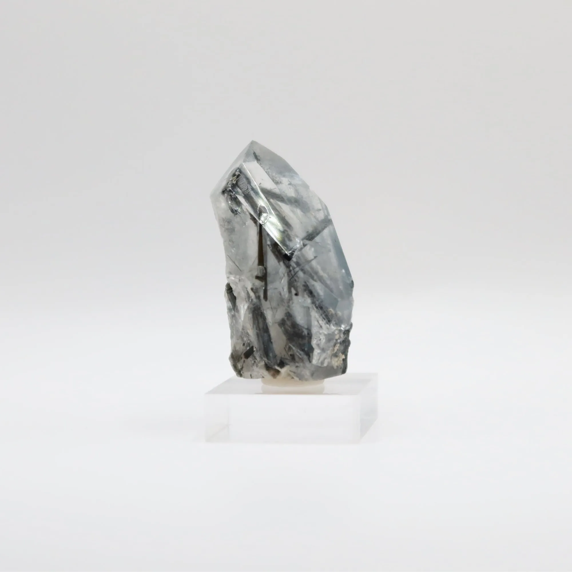 Tourmalinated Quartz (VII)