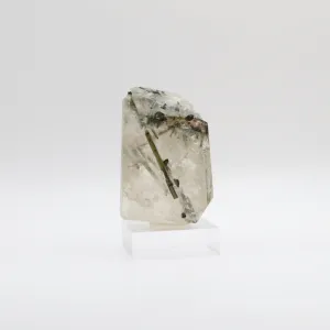 Tourmalinated Quartz (VIII)