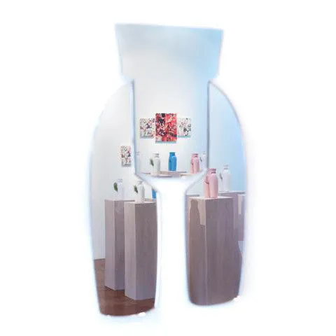 Vanity Mirror